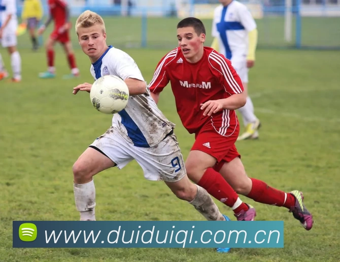 非凡体育(中国)官方网站平台生态图